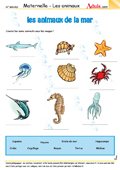 Les animaux de la mer