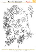 Mod&#xE8;les de dessin : feuilles d&#x27;automne