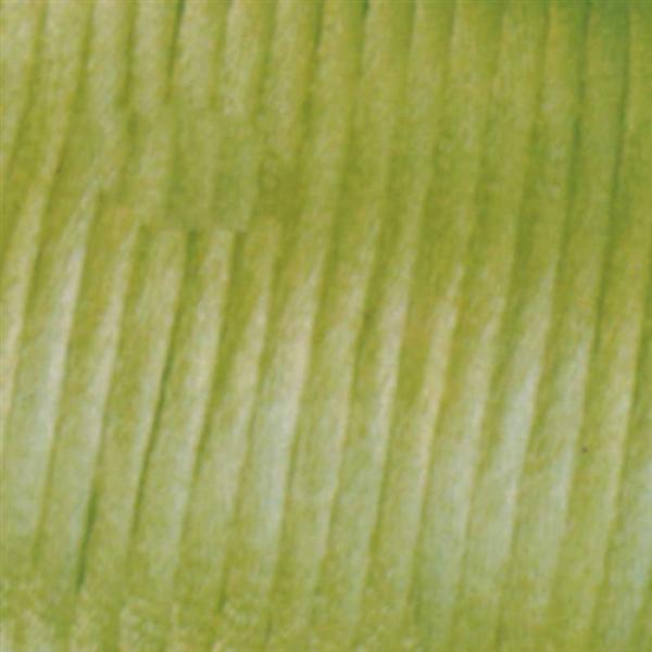 Satinkordel Ø 2 mm, hellgrün