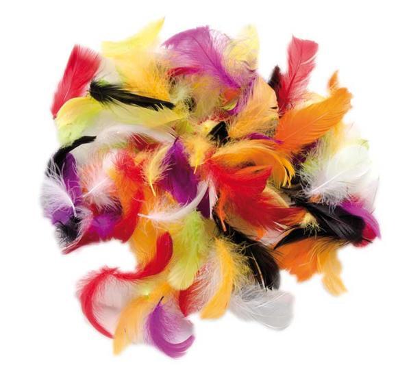 M&#xE9;lange plumes d&#xE9;co - 10 g, multicolore