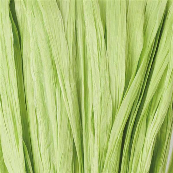 Raphia mat - 10 g, vert tilleul