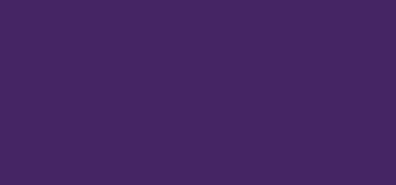 Aduis Acryliic Acrylfarbe - 500 ml, violett