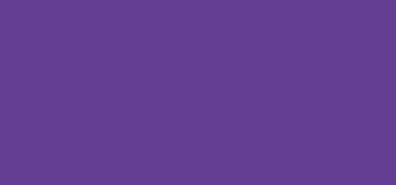 Aduis Basiic schoolverf - 500 ml, violet