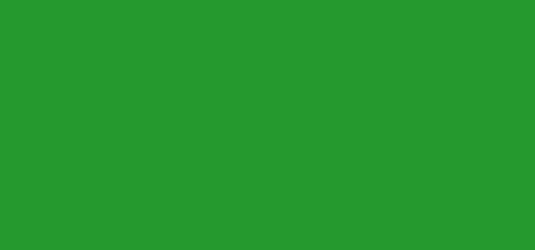 Aduis Basiic Schulfarbe - 500 ml, hellgrün