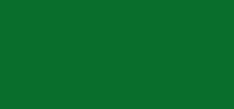 Aduis Basiic Schulfarbe - 500 ml, grün