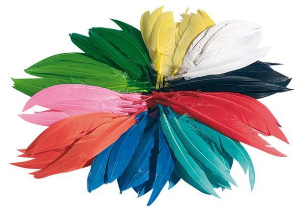 Plumes d&#x27;Indiens - 100 g, multicolore