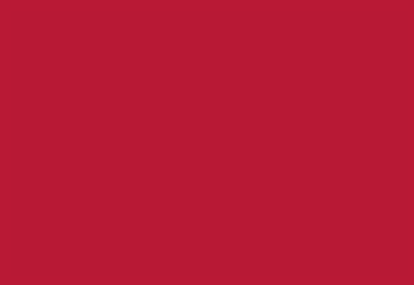 Caoutchouc mousse - 10 pces, 20 x 29 cm, rouge