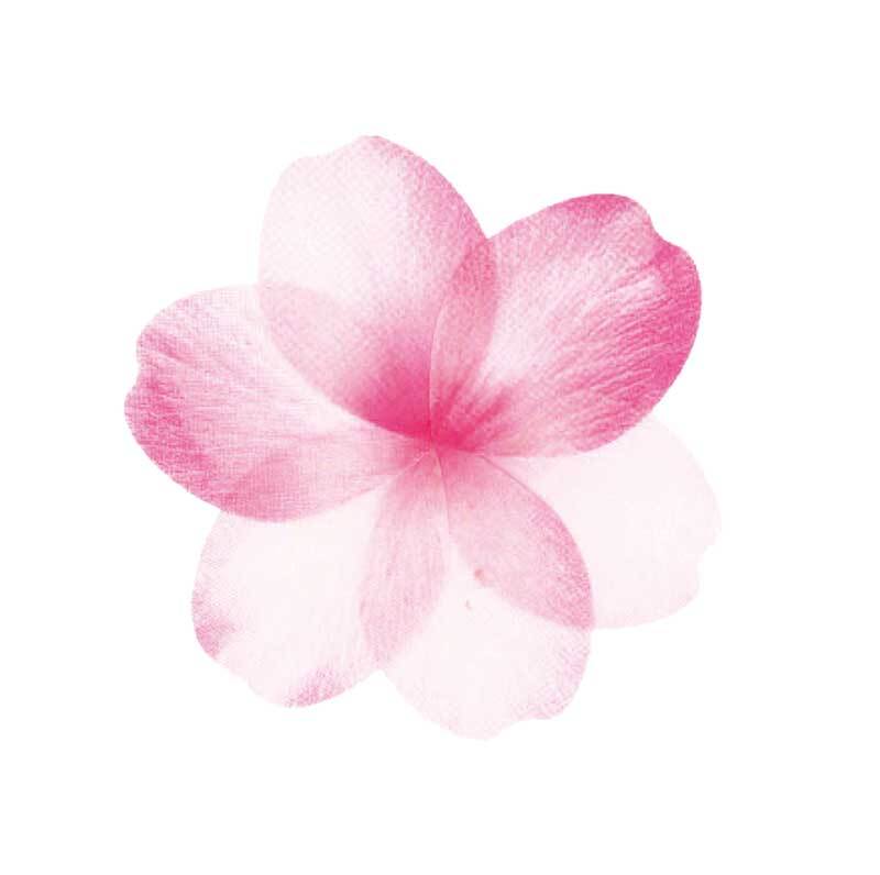 Washi Sticker - Blüten rosé