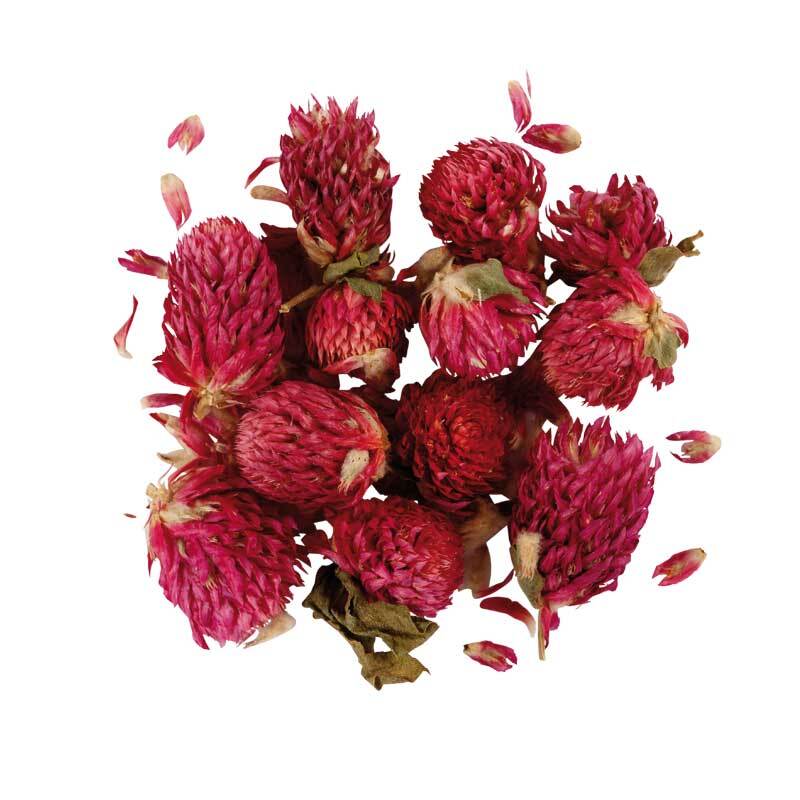 Trockenblumen - Kleebl&#xFC;ten, ca. 17 g