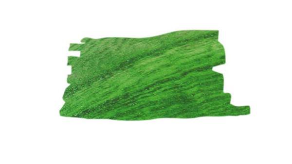 Lasure à bois - 50 ml, vert clair