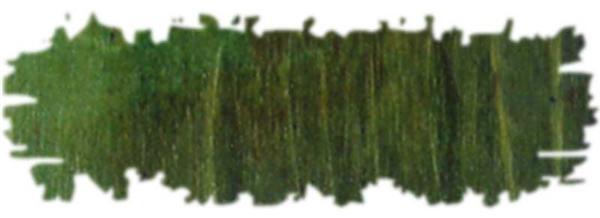 Wasserlösliche Holzbeize - 20 g, grün