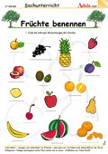 Pflanzen - Obst und Gem&#xFC;se