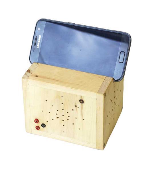 Boîtier Bluetooth en bois de pin cimbre