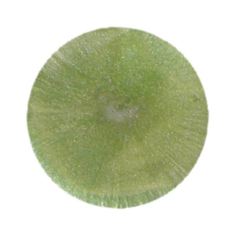 Colorant métallisé pour résine - 8 ml, vert scarab