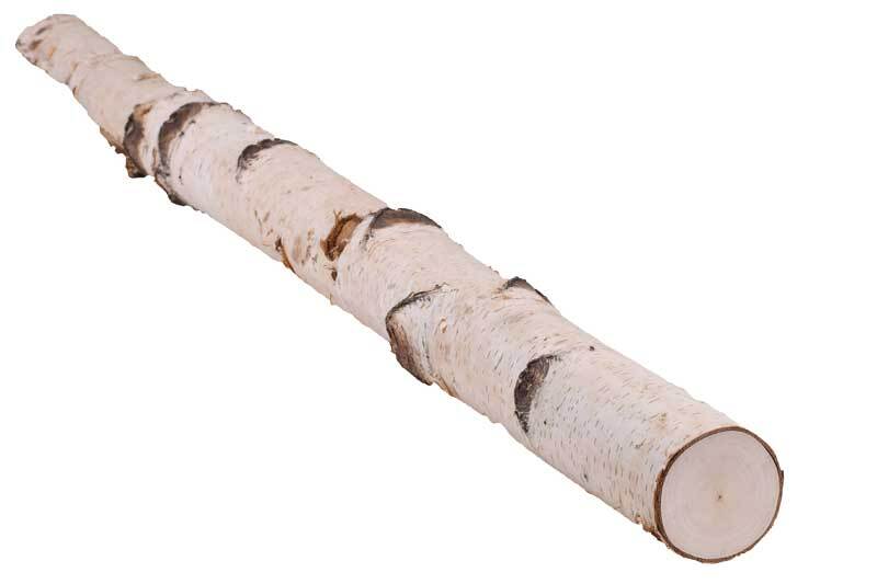 Tronc de bouleau - Ø 50 - 100 mm, long. Ca. 100 cm