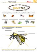 Insecten