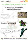 Overlevingsstrategie&#xEB; van dieren in het wild